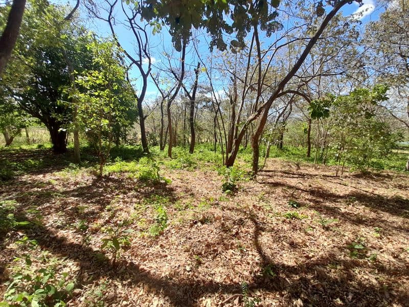 Expansive Country Homesite
