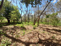 Expansive Country Homesite thumbnail