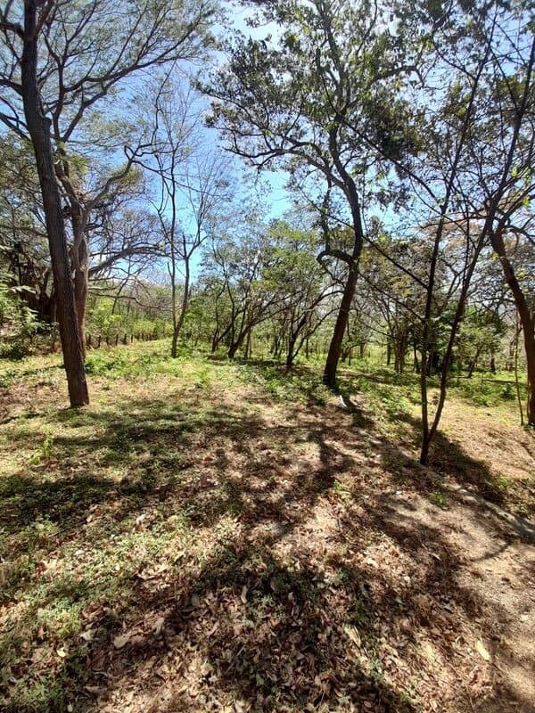 Expansive Country Homesite