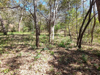 Expansive Country Homesite thumbnail
