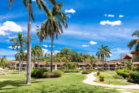 The Palms #33 thumbnail