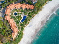 The Palms #33 thumbnail