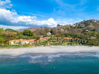 The Palms #33 thumbnail