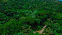 Lot A – 5000m² in Santa Rosa | Financing Options Available! thumbnail