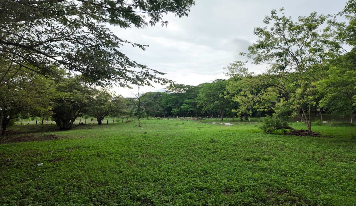 Prime Mixed-Use Development Lot 1 in Villarreal