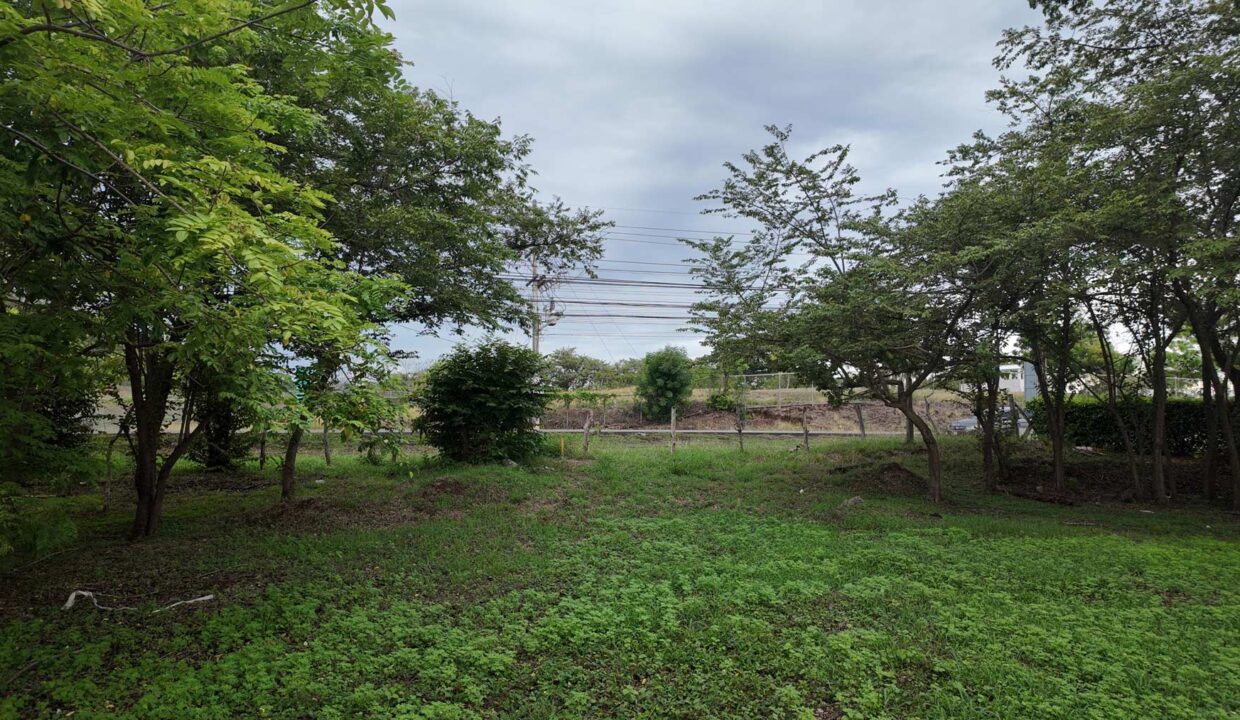 Prime Mixed-Use Development Lot 1 in Villarreal