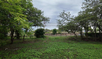 Prime Mixed-Use Development Lot 1 in Villarreal thumbnail