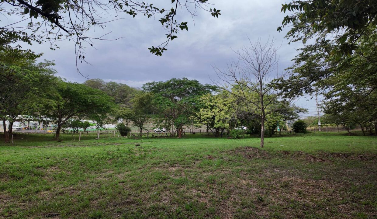 Prime Mixed-Use Development Lot 1 in Villarreal