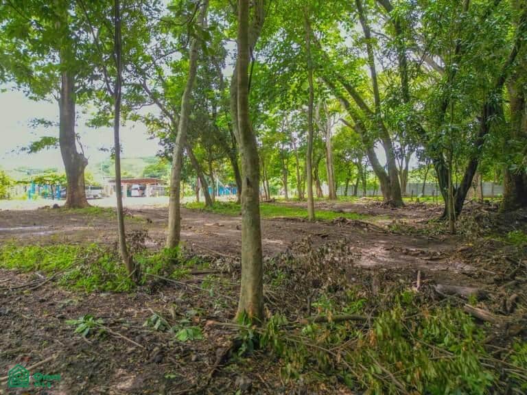 Playa Potrero Homesite – Prime Land Opportunity Near Costa Rica’s Pacific Coast