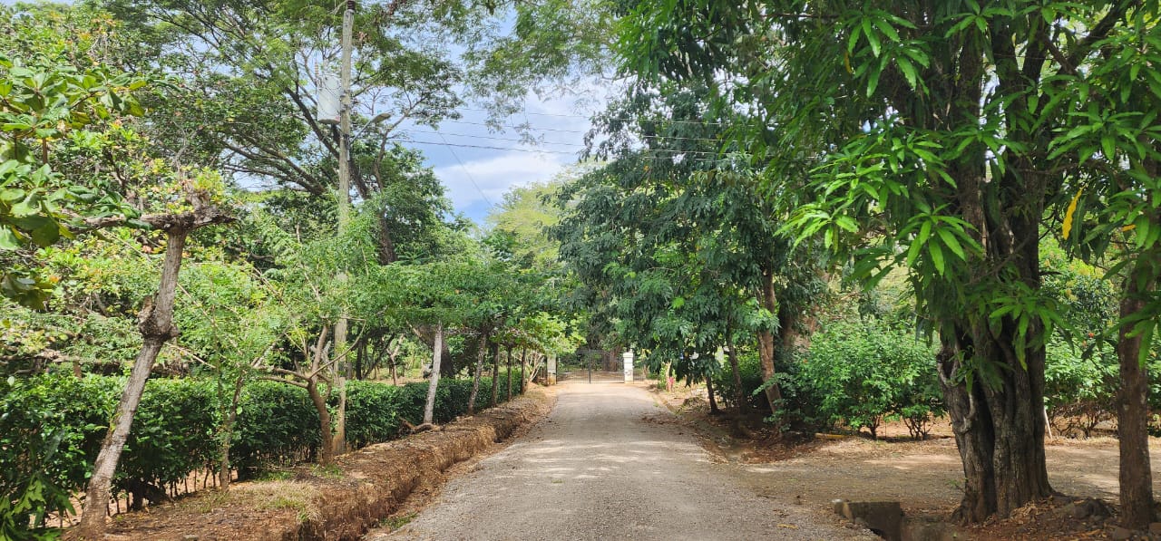 Lot 20 – Lomas de Conchal | Prime Ready-to-Build Lot Near Playa Conchal