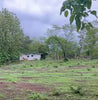 Chocolate Rain Lots | Exceptional 1.89-Acre Development Site Near Lola’s & Avellanas Beach thumbnail