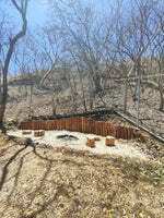 Casa Pacifica: Your Escape to Tranquility and Nature thumbnail