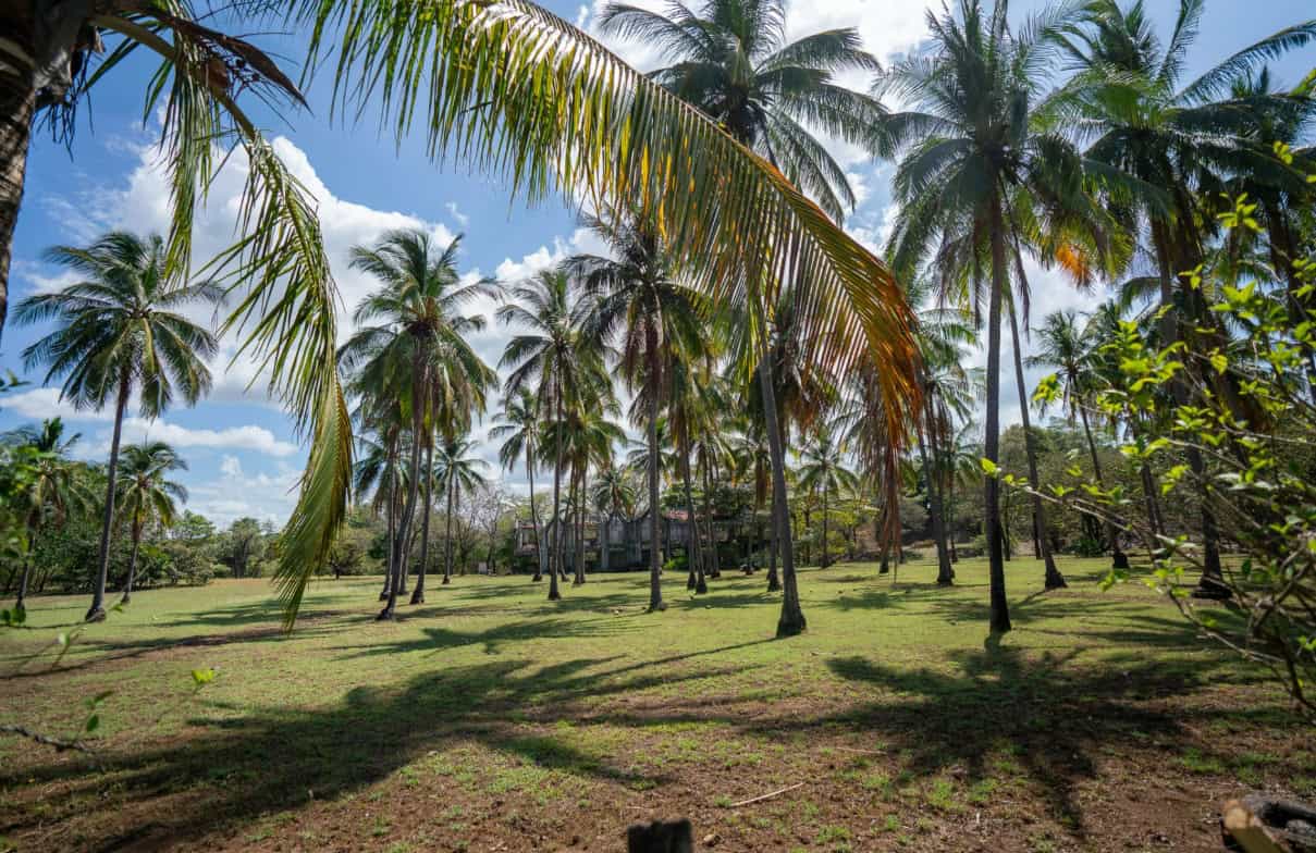 Prestigious 13-Acre Titled Beachfront Estate in Junquillal