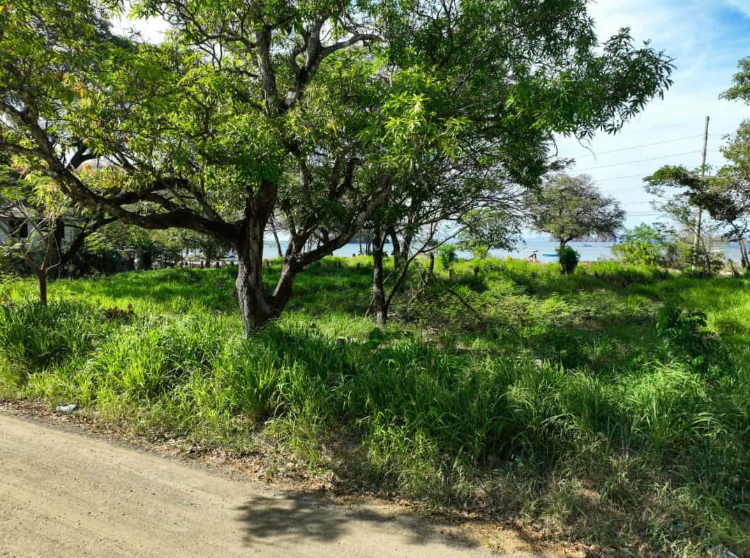 Marina Vista Retreat – Stunning Oceanfront Home in Playas del Coco
