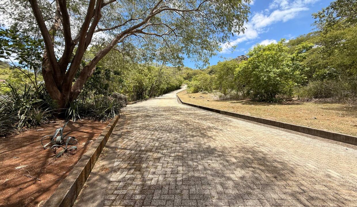 Alta Vista Commercial Lot | Playa Hermosa