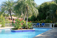 El Oasis 305 | 1BR Condo Near Playa Hermosa (300m to the Beach) thumbnail