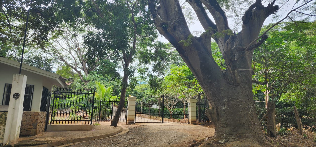 Lot 20 – Lomas de Conchal | Prime Ready-to-Build Lot Near Playa Conchal