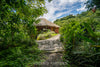 Amatierra: A Wellness Sanctuary and Eco-Retreat thumbnail