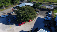 Income-Producing Mixed-Use Commercial Property in a Prime Location thumbnail