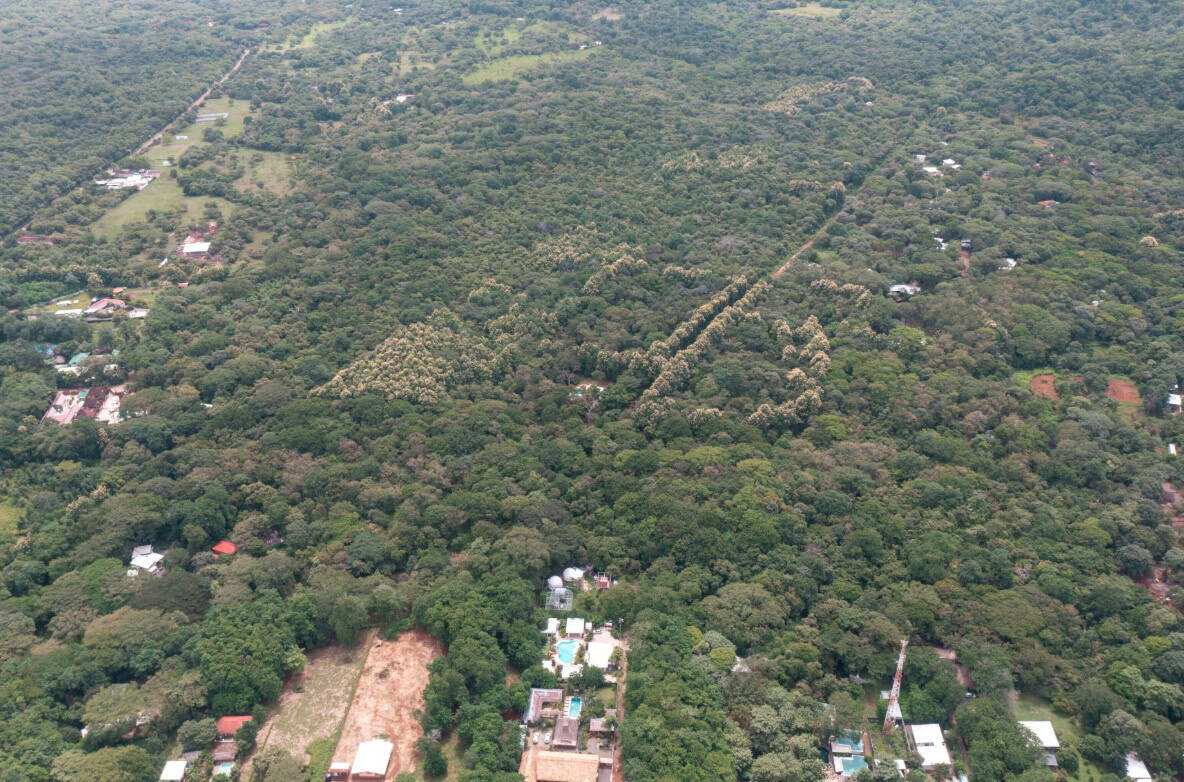 Pochotes Avellanas – Exceptional 3-Hectare (7.4-Acre) Development Site Near Avellanas Beach!