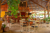 Turnkey Hotel Investment at Hotel Nany – Just Steps from Playa Conchal thumbnail