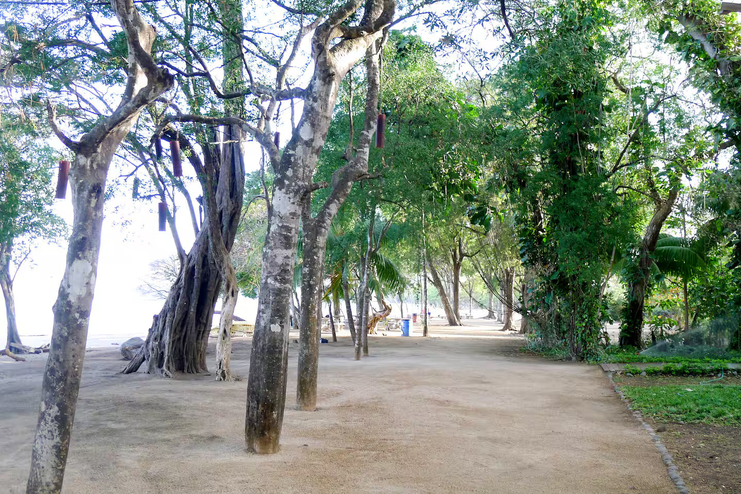 El Oasis 305 | 1BR Condo Near Playa Hermosa (300m to the Beach)