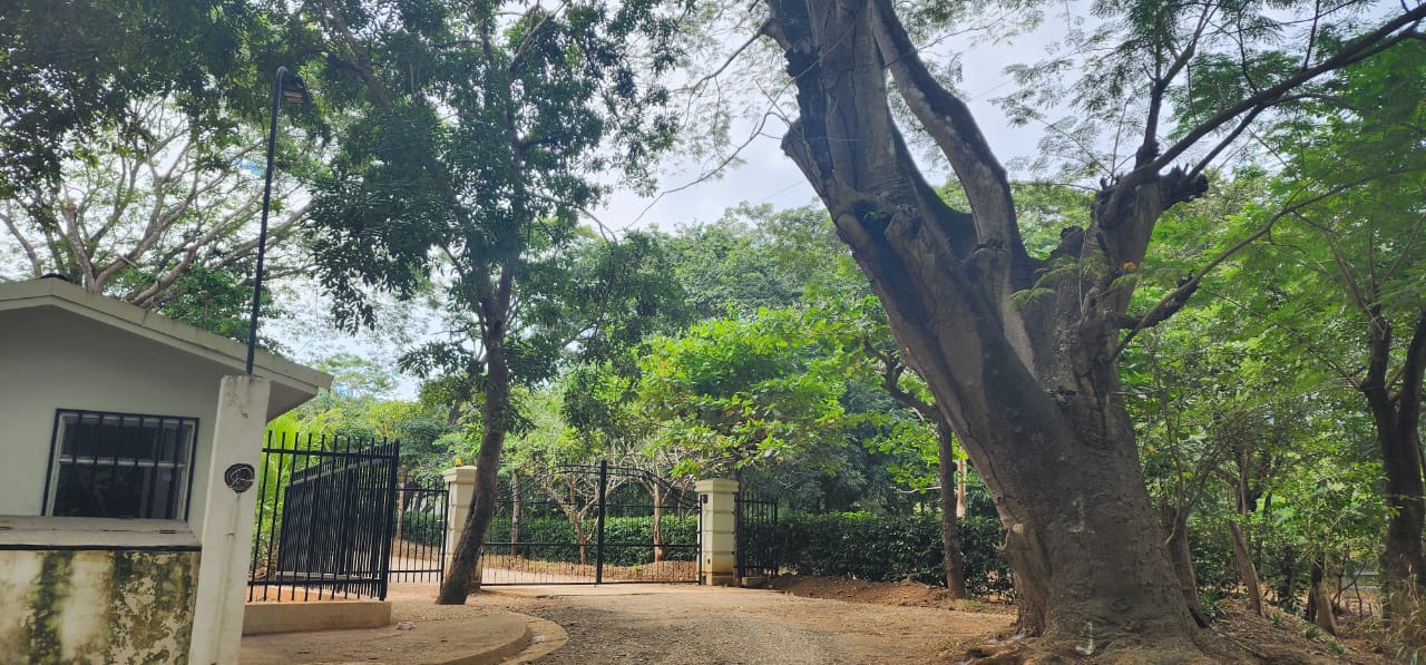 Lot 20 – Lomas de Conchal | Prime Ready-to-Build Lot Near Playa Conchal