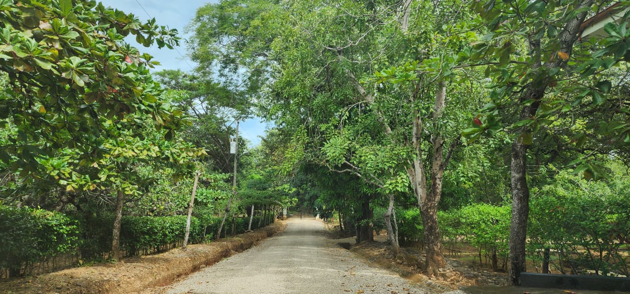 Lot 20 – Lomas de Conchal | Prime Ready-to-Build Lot Near Playa Conchal