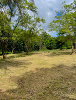 Lote Apu – Prime Land Near Playas del Coco thumbnail