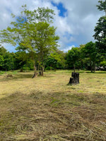 Lote Apu – Prime Land Near Playas del Coco thumbnail