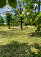 Lote Apu – Prime Land Near Playas del Coco thumbnail