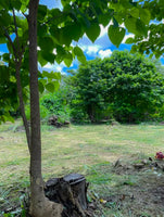 Lote Apu – Prime Land Near Playas del Coco thumbnail