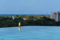 Casa Hilltop | Tamarindo Park – Stunning Oceanview Hilltop Retreat thumbnail
