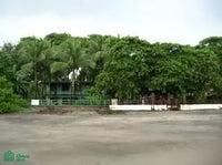 Beachside Corner Lot with Water - Walk to the Shore! thumbnail