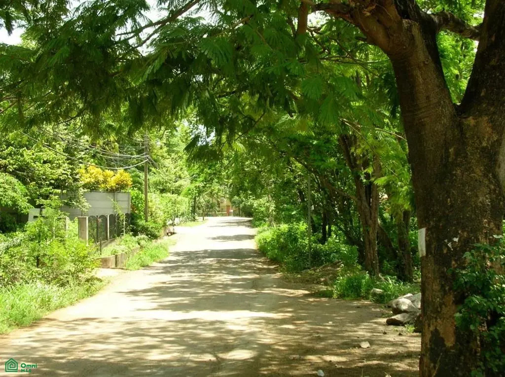 Beachside Corner Lot with Water - Walk to the Shore!