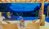 Casa Chameleon Hotel thumbnail
