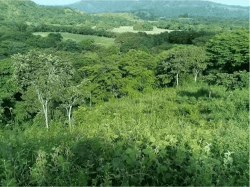 10 ac Lot across from Golf