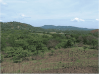 10 ac Lot across from Golf thumbnail