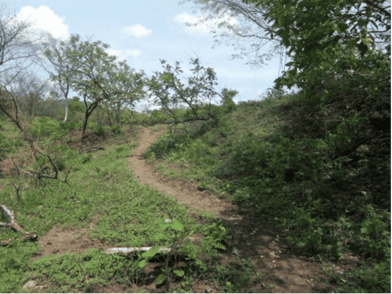 10 ac Lot across from Golf