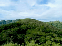 10 ac Lot across from Golf thumbnail