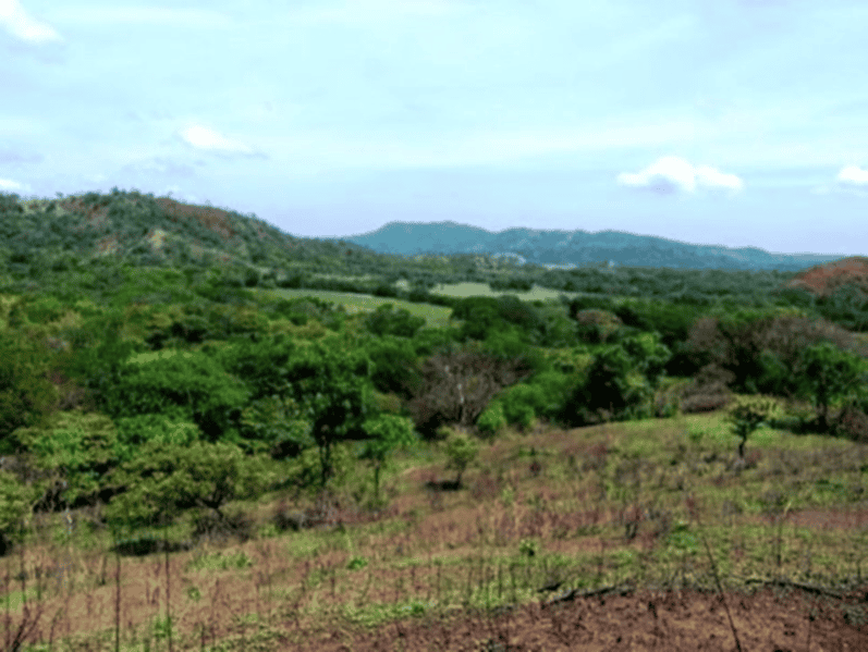 10 ac Lot across from Golf
