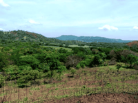 10 ac Lot across from Golf thumbnail