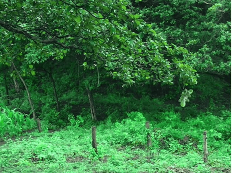 10 ac Lot across from Golf