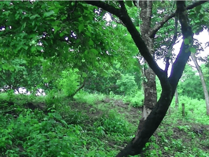 10 ac Lot across from Golf