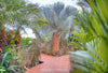 Casa Chameleon Hotel thumbnail