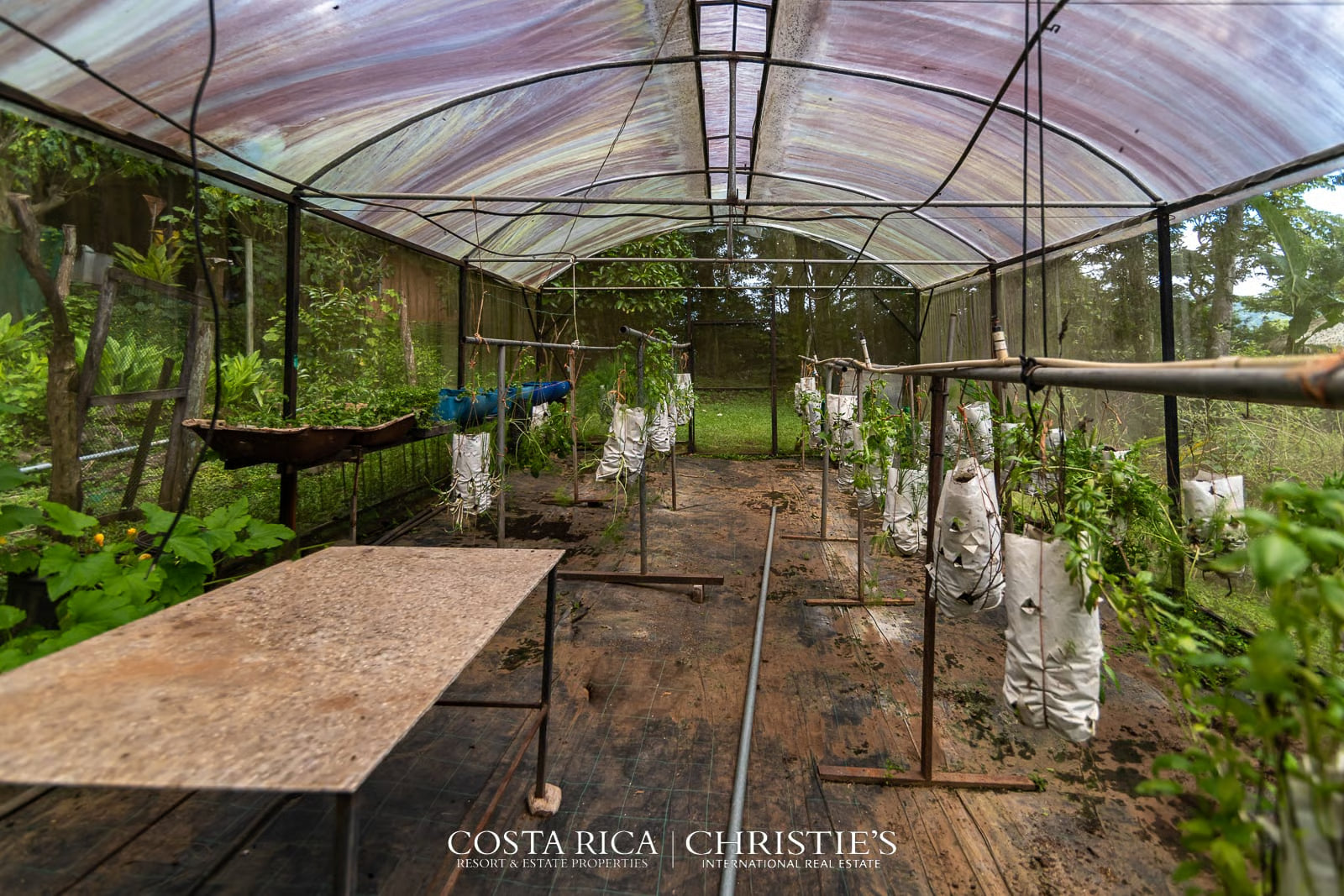 Amatierra: A Wellness Sanctuary and Eco-Retreat