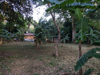 One of the Last Great Opportunities: Playas del Coco thumbnail