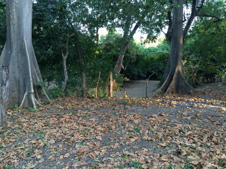 One of the Last Great Opportunities: Playas del Coco