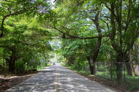 Lot K-24: Prime Surfside Lot Just Steps from the Beach! thumbnail