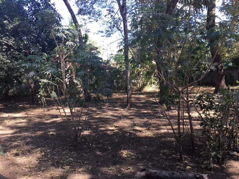 Lot K-24: Prime Surfside Lot Just Steps from the Beach!